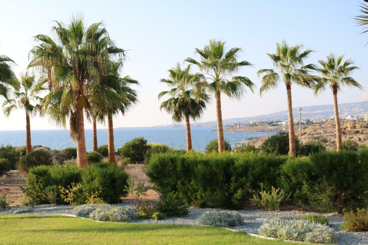 Yulya Villa By Taimoura Pafos Zewnętrze zdjęcie